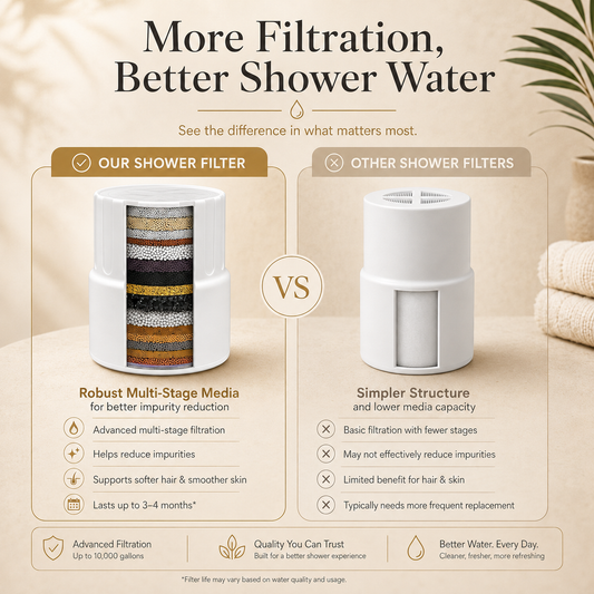 AquaFlow Pure Replacement Filter (2-Pack)